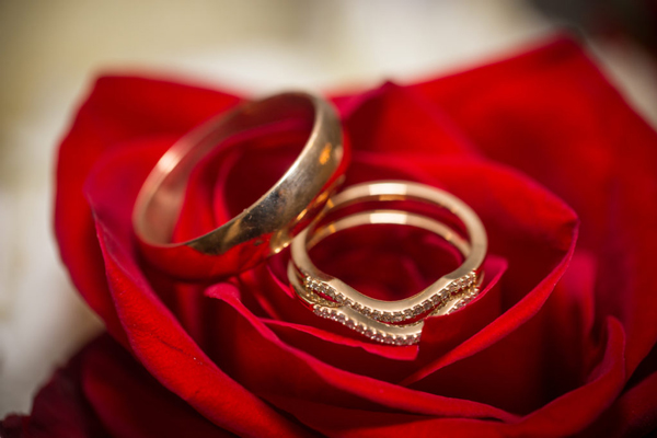 Two rings on a rose